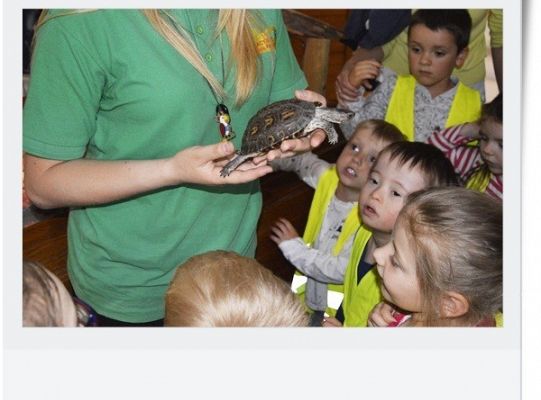 Dzień dziecka - wycieczka do egzotycznego zoo