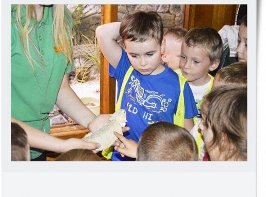 Dzień dziecka - wycieczka do egzotycznego zoo