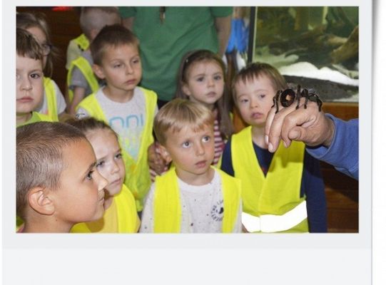 Dzień dziecka - wycieczka do egzotycznego zoo