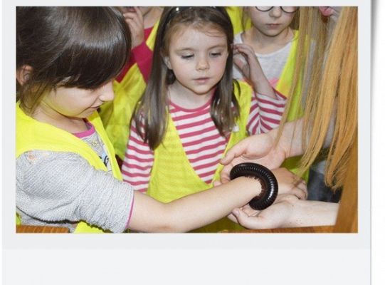 Dzień dziecka - wycieczka do egzotycznego zoo