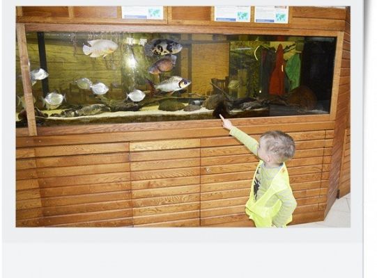 Dzień dziecka - wycieczka do egzotycznego zoo