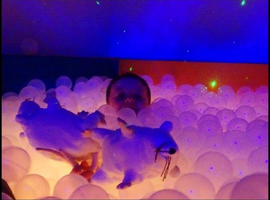 Czerwiec – czerwone maki, podróże i czereśnie!