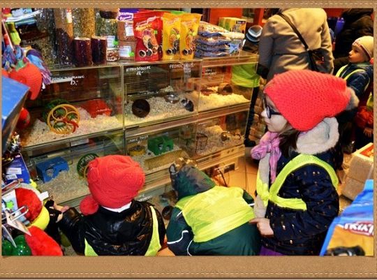 Jesień, jesień, jesień ach to ty...