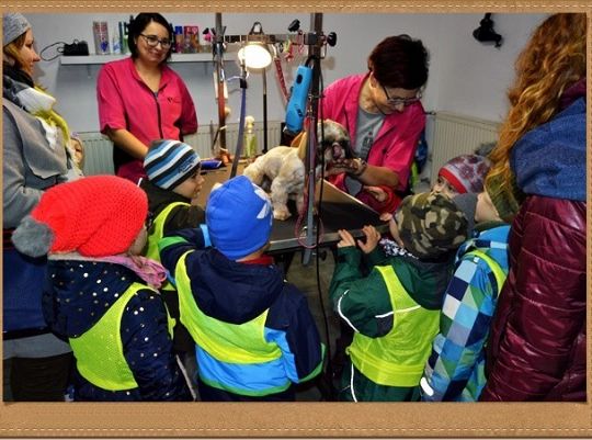 Jesień, jesień, jesień ach to ty...