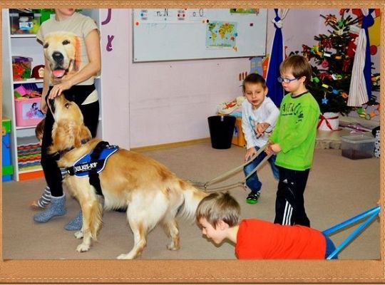 Wesoły tydzień starszaka