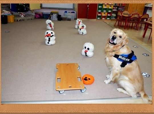 Wesoły tydzień starszaka