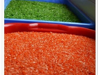 Czerwone maki, wata cukrowa i zapach łąki....