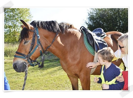 X Turniej Osób Niepełnosprawnych w Charbrowie
