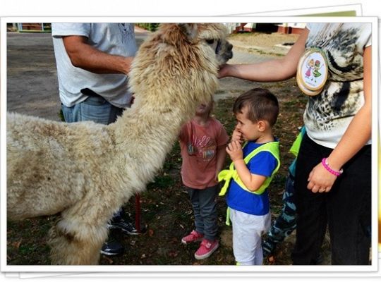 Ogólnopolski Dzień Przedszkolaka