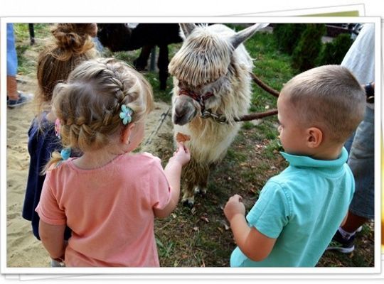 Ogólnopolski Dzień Przedszkolaka