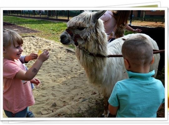 Ogólnopolski Dzień Przedszkolaka