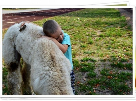 Ogólnopolski Dzień Przedszkolaka