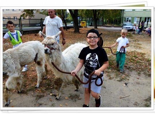 Ogólnopolski Dzień Przedszkolaka