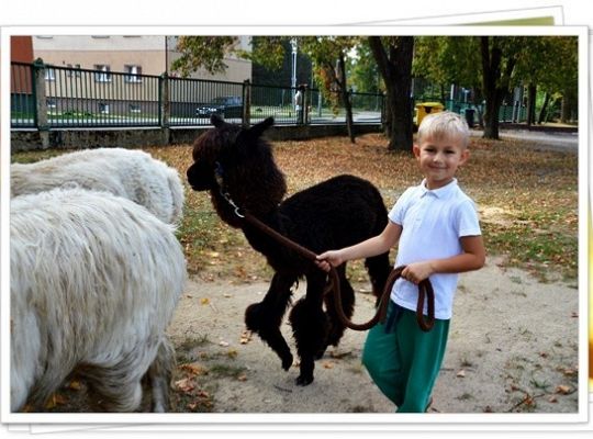 Ogólnopolski Dzień Przedszkolaka