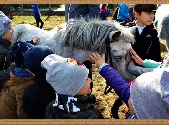 Przedszkole fajne jest!