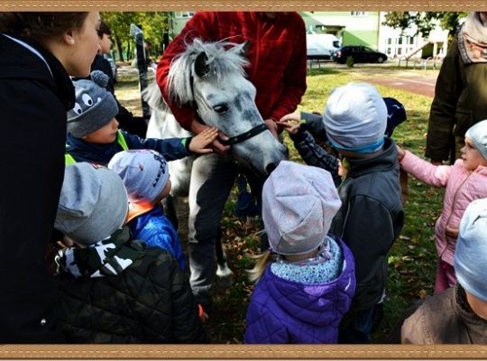 Przedszkole fajne jest!