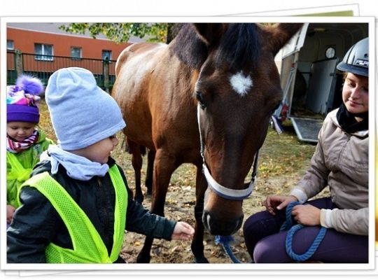 Przedszkole fajne jest!