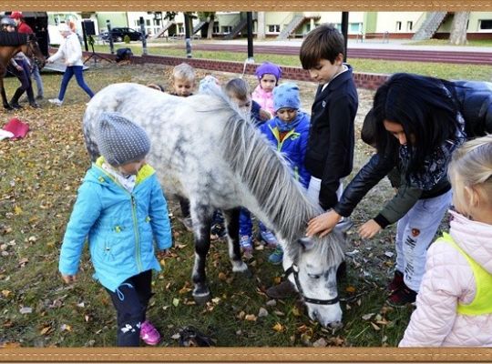 Przedszkole fajne jest!