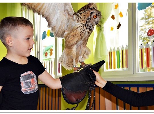 Jesień jest piękna!