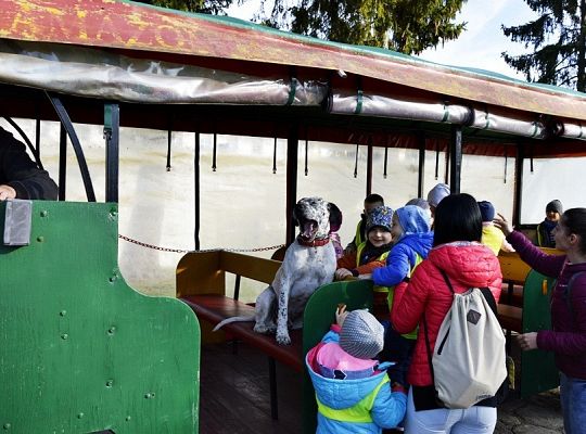 Jesień jest piękna!