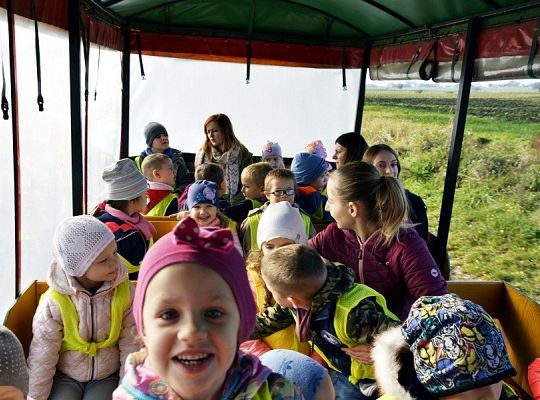 Jesień jest piękna!