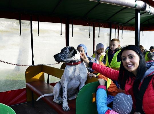 Jesień jest piękna!