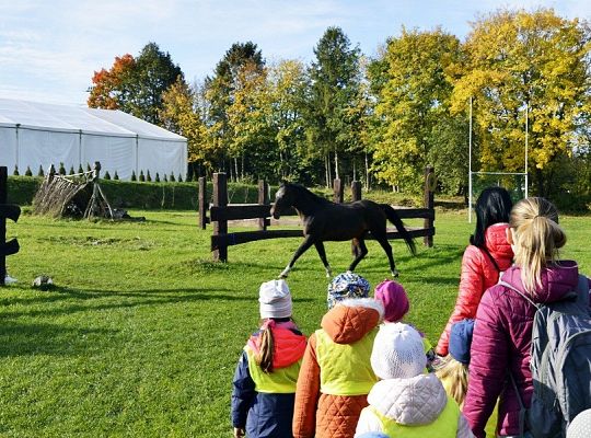 Jesień jest piękna!