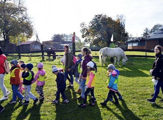 Jesień jest piękna!