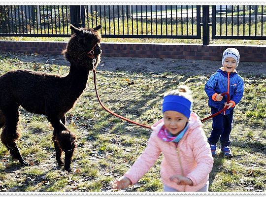 Średniaczki i jesień.