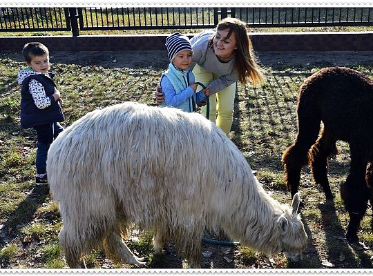Średniaczki i jesień.