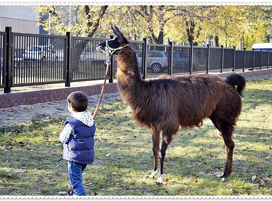 Średniaczki i jesień.