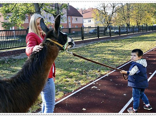 Średniaczki i jesień.