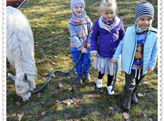 Średniaczki i jesień.