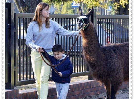 Średniaczki i jesień.