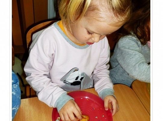 Międzynarodowy Dzień Misia