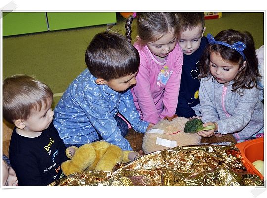 Międzynarodowy Dzień Misia