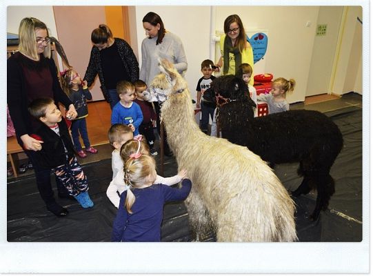 Jak nam minął pierwszy tydzień ferii zimowych?