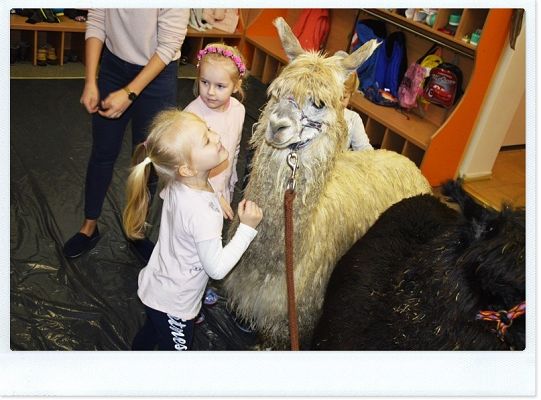 Jak nam minął pierwszy tydzień ferii zimowych?