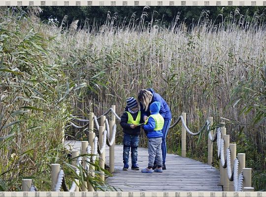 Wycieczka do Parku Dinozaurów