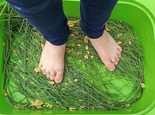 Jak nam mija piękny maj?