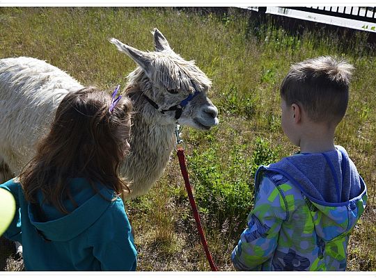 Jak nam mija piękny maj?