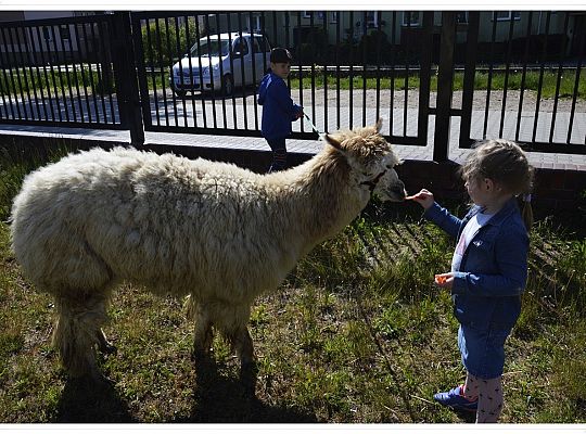 Jak nam mija piękny maj?