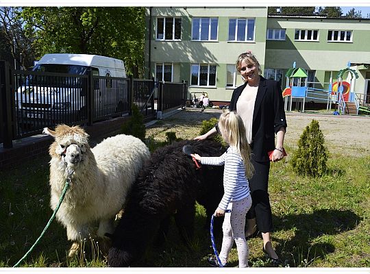 Jak nam mija piękny maj?