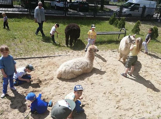 Czerwiec w przedszkolu