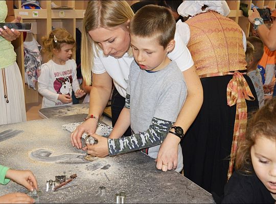 Co wiemy o gołębiach?