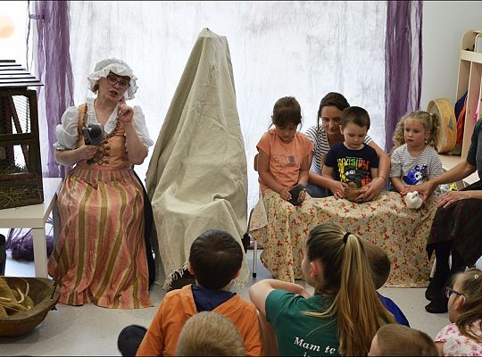 Co wiemy o gołębiach?