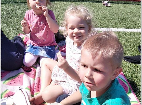 „Wiosna – cieplejszy wieje wiatr…”