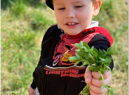 „Wiosna – cieplejszy wieje wiatr…”