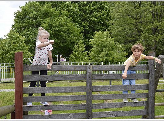 Lębork jest piękny!