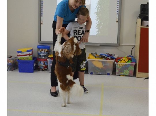 Pies jest największym przyjacielem człowieka!